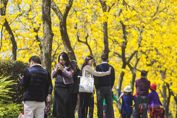 8868版魂之幻影下载